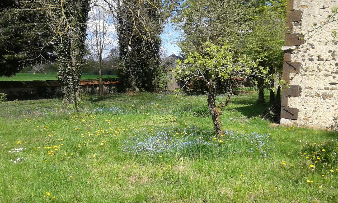 La Sauldre Panzió Vailly-sur-Sauldre Kültér fotó